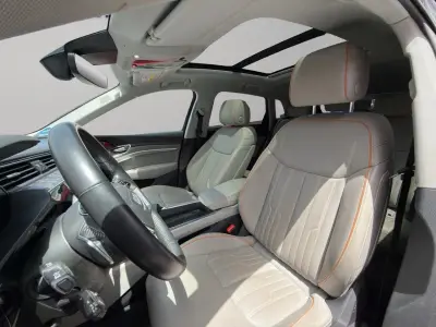 Audi e-tron 2019 · foto 7